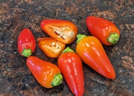 SEED- Hot Pepper Cascabella &quot;Little Bell&quot; Small, Sweet, Spicy, Smoky - £1.22 GBP+