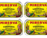 4 x 120g Cans Sardines Fish in Spicy Olive Oil with Pickles Minerva Port... - $23.99