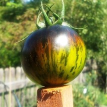 120 Seeds Green Zebra Tomato Heirloom Seeds For Swift Garden Makeovers - $8.35