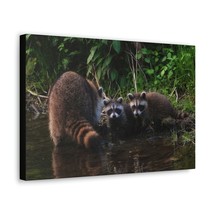 Raccoon Group Raccoon Troop Print Animal Wall Art Wildlife Canvas Prints Wall A - £57.84 GBP+