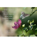 &quot;Swallowtail Rising,&quot; an A. Rose Designs (tm) note card - $6.95+