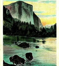 Yosemite Valley California CA El Capitan w Buffalo 1907 New York Art Co Postcard - £7.91 GBP