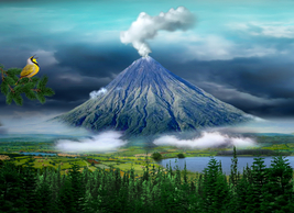 Bird and mountain volcano in the lost forest with lake and river - £62.90 GBP