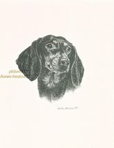 #232 Black &amp; Tan DACHSHUND dog art print * Pen and ink drawing by Jan Je... - $12.38