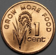 Fiji Cent, 1981 Gem Unc FAO~Rice Plant~Elizabeth II - £3.34 GBP