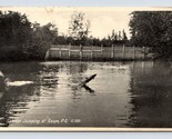 RPPC Salmon Jumping at Gaspe PQ Quebec Canada 1934 Postcard I16 - £2.42 GBP