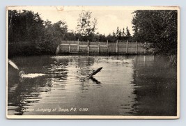 RPPC Salmon Jumping at Gaspe PQ Quebec Canada 1934 Postcard I16 - $3.02