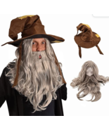 Wizard Wig and Long Beard with Wizard Sorcerer Costume Hat - All Included - £22.05 GBP