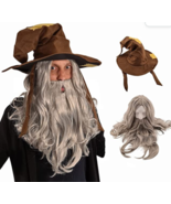 Wizard Wig and Long Beard with Wizard Sorcerer Costume Hat - All Included - €24,44 EUR