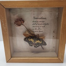 1980&#39;s Taxidermy Butterfly In Display w/ Grandmother Poem Papilo Demoles - $19.25