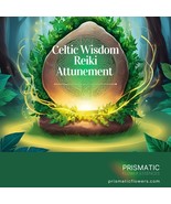 Celtic Wisdom Reiki Distance Attunement - $46.00
