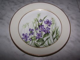 1876-1881 CFH Charles Field Haviland Decorative Desert Dish Plate (Violet) 7.5W - £11.97 GBP
