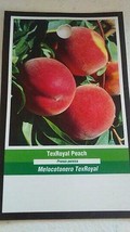 Texroyal Peach 4-6 Ft Tree Plant Sweet Juicy Peaches Fruit Trees Plants - £113.08 GBP