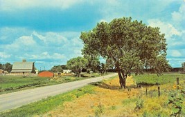 Bath Pennsylvania~Country Road~Greetings From Postcard - £5.58 GBP