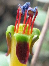 Item image 1 image 1