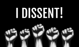 I Dissent Flag 3x5 FT - $26.00