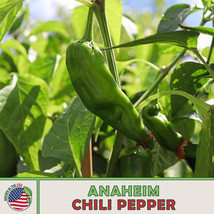 50 Anaheim Chili Pepper Seeds Non Gmo Genuine Home Garden - $8.63