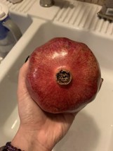 AW 25 Pomegranate Seeds Organic Non Gmo Homen Fruit Tree Garden Grenadin... - $10.79