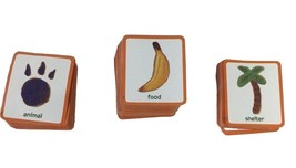 Cranium Zooreka Zoo Board Game Orange Resource Cards Square Replacement ... - $73.50 MXN