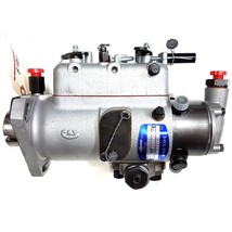 3248F451R (244848;37859PS/4) Rebuilt Delphi Fuel Pump Fits Perkins 4.236... - $1,700.00