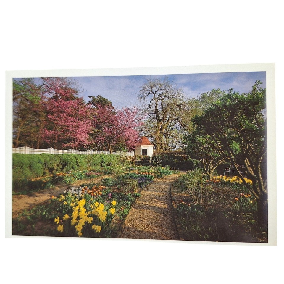 Postcard Mount Vernon Upper Garden Redbud Trees Daffodils Tulips Flowers VA - $4.92