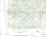 Morgan Pass, Nevada 1980 Vintage USGS Topo Map 7.5 Quadrangle Topographic - £19.26 GBP