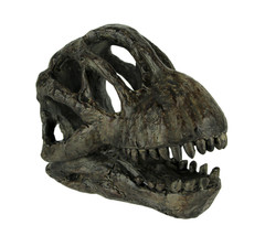 Zeckos Brachiosaurus Dinosaur Head Fossil Statue Small - £27.68 GBP
