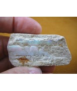 O-240-28) 46.8 grams white green flash Coober Pedy opal specimen stone A... - $27.99