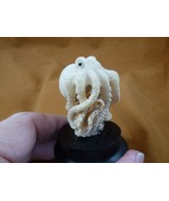 (tb-octo-50-6) standing Octopus TAGUA NUT palm figurine Bali reef octopi - $1,066.09 MXN