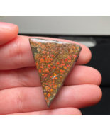 DRAGON SCALE Ammolite Stone Natural Stone Specimen RARE Collector Item - $198.00