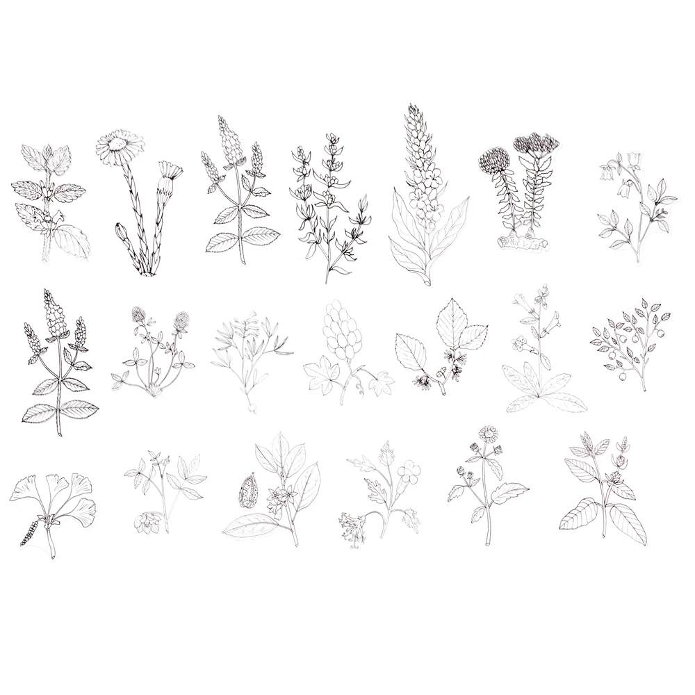 40Pcs/Bag Plant Nature Flower Decorative PVC Sticker Epoxy Resin -Leaves 07 - €4,27 EUR