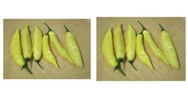 90+ Hot Lemon Pepper Seeds Lemon Drop Aji Limon Vegetable Garden Free Shipping - $21.99