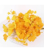 Fall yellow Ginkgo biloba leaf branches Autumn Leaves artificial fall le... - $109.88 MXN