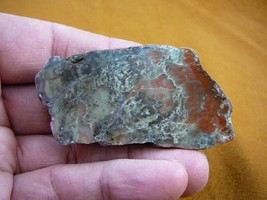 (DF601-19) 2 Oz Fossil Real Dinosaur Poop Coprolite Dino Utah Jurassic Dung Scat - £13.44 GBP