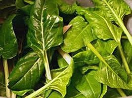 Swiss Chard, Perpetual Spinach Heirloom, Organic 25+ seeds, Non Gmo - £2.38 GBP