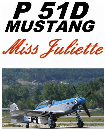 INSTANT Download. Paper Craft - P-51D Mustang Miss Juliet Fighter
