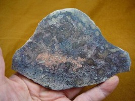 (DF-376-5) 10 oz Fossil REAL DINOSAUR Bone cabbing slab lapidary I love dinos - £49.32 GBP
