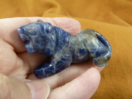 Y-TIG-718) Blue Sodalite TIGER gemstone carving FIGURINE I love CATS tigers wild - £13.78 GBP