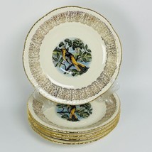 Homer Laughlin Baltimore Oriole Bird 6.25” Plate Saucer 5 ct Gilded Fili... - £30.57 GBP