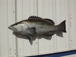 32&quot; Gag Grouper Two Sided Fish Mount Replica - Quick Production - £238.01 GBP