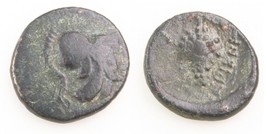 338-300 BC Lokris Opuntia AE14 Greek Coin Athena Grape Cluster SngCOP-68 - £132.21 GBP