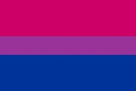 Bi-Pride 5X3 Rainbow Gay Pride 5Ftx3Ft 5&#39; X 3&#39; Flag Festval Protest Bann... - €4,20 EUR