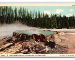 Punch Ciotola Molla Yellowstone National Park Wy Unp Haynes Lino Cartoli... - $3.03