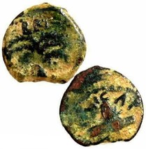 Antonius Felix under Claudius. Palm Tree, Nero/Britannicus Jerusalem Prutah Coin - £59.85 GBP