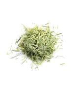 Wholesale!! Organic Oat Straw Oatstraw Dried Cut/Sifted-4 oz, 1,2,5 lbs - $11.95+