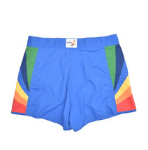 Vintage Hobie Swim Trunks Mens M Rainbow Striped Board Shorts Beach Made... - £35.69 GBP