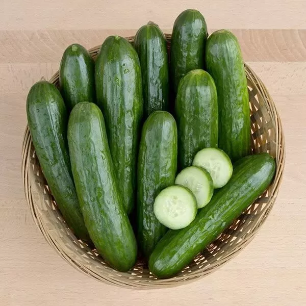 25 Seeds California Cucumbers Easy To Grow Fast Harvest Of 50 Days Vegetable  - £7.85 GBP
