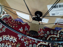 Item image 14