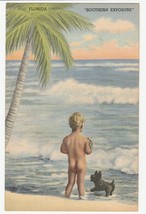 Vintage Postcard Florida Little Boy and Scottie Dog on Beach Southern Exposure - £6.88 GBP