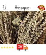 Premium Dried Whole Hyssopus officinalis Hyssop Plant Natural عشبة الزوفا - $17.09+